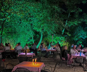 gallery006 gallery006